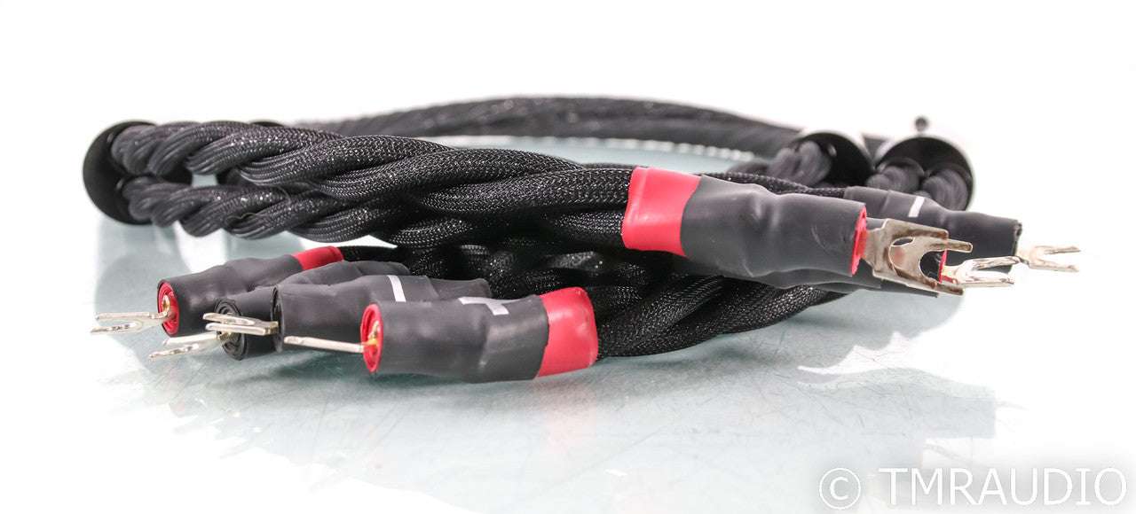 Synergistic Research Galileo SX Speaker Cables; 8ft pair