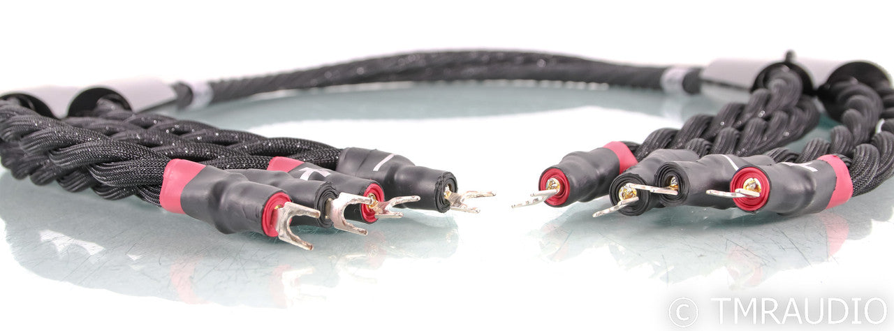 Synergistic Research Galileo SX Speaker Cables; 8ft pair