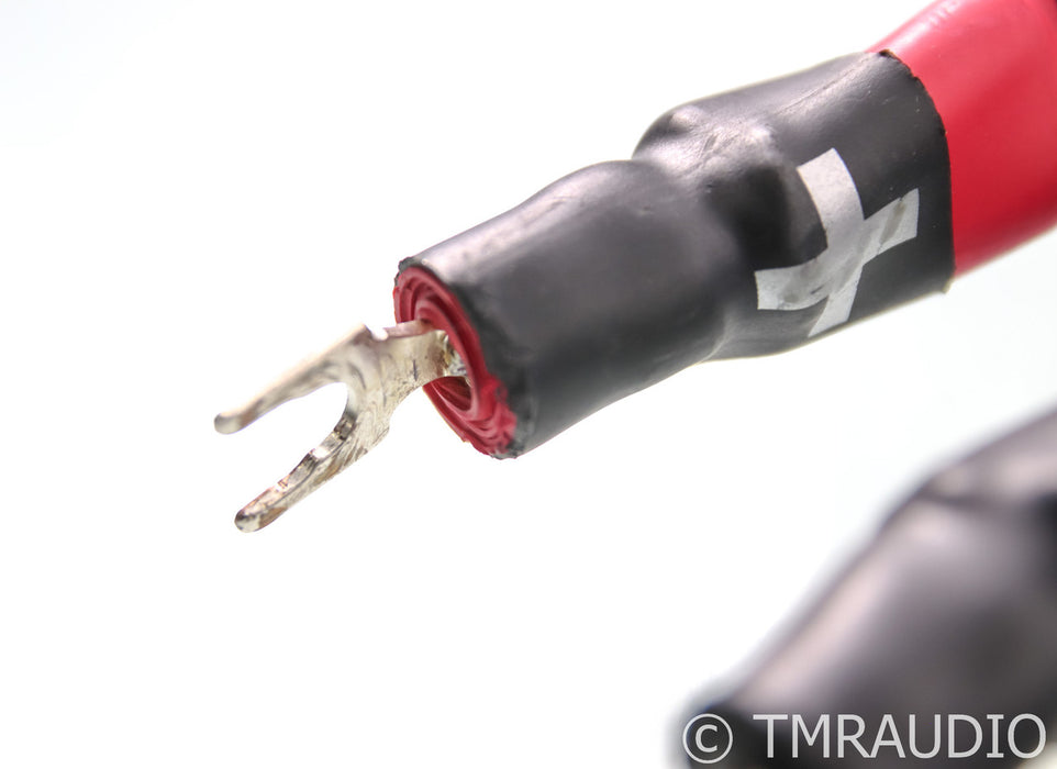 Synergistic Research Galileo SX Speaker Cables; 8ft pair