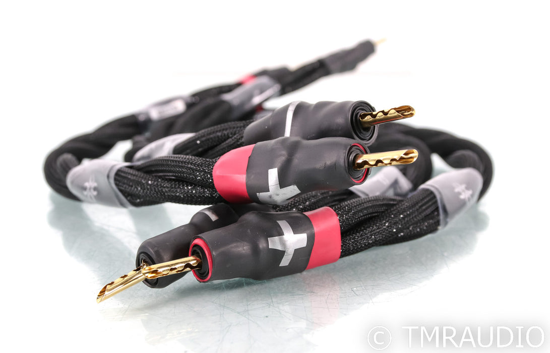 Synergistic Research Galileo SX Speaker Jumpers; 0.5m Set of Four