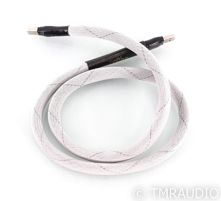 Final Touch Audio Callisto USB Cable; Single 2m Digital Interconnect