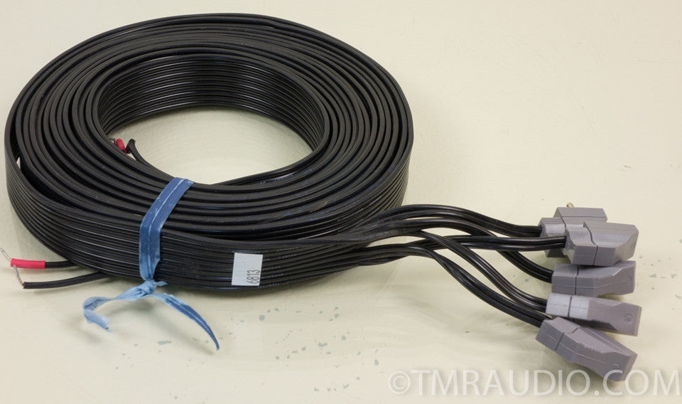 Bose Acoustimass 10 Speaker Cables
