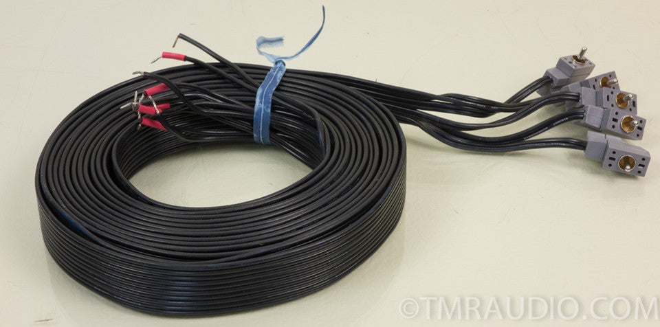 Bose Acoustimass 10 Speaker Cables