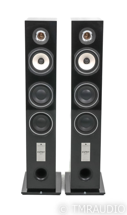 Triangle Gaia Ez Floorstanding Speakers; Piano Black Pair