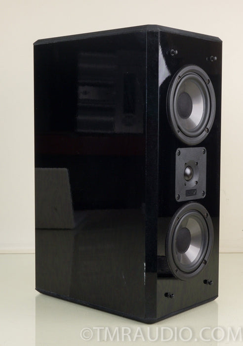 Energy RVS (Reference Video Series) Center Channel Speaker