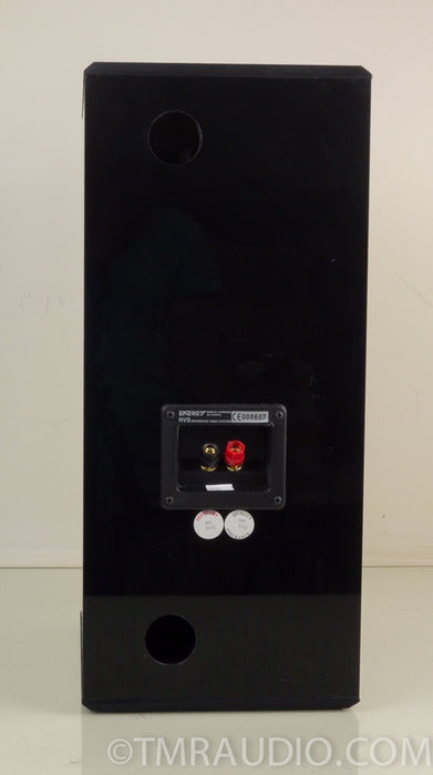 Energy RVS (Reference Video Series) Center Channel Speaker