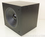 Energy ES-12 150 Watt 12" Powered Subwoofer