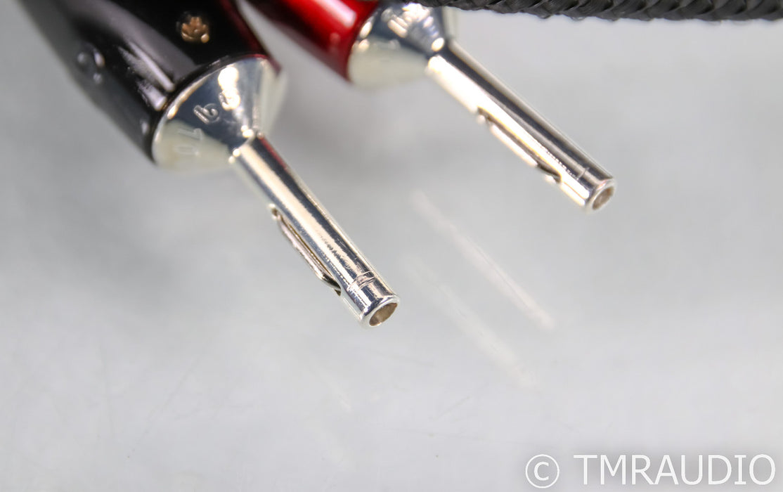 AudioQuest William Tell BASS Speaker Cables; 6.5ft Pair; 72v DBS