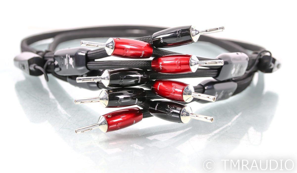 AudioQuest William Tell BASS Speaker Cables; 6.5ft Pair; 72v DBS