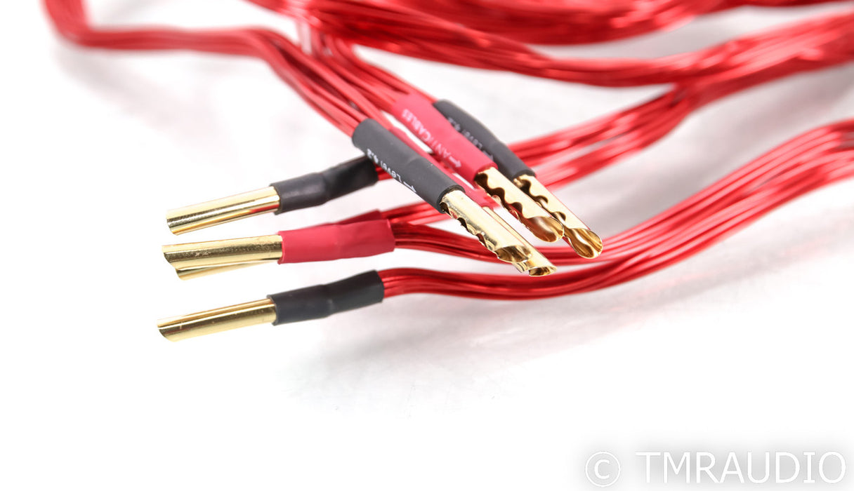 AntiCables Level 4.2 FLEX Speaker Cables; 6ft Pair