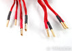 AntiCables Level 4.2 FLEX Speaker Cables; 6ft Pair