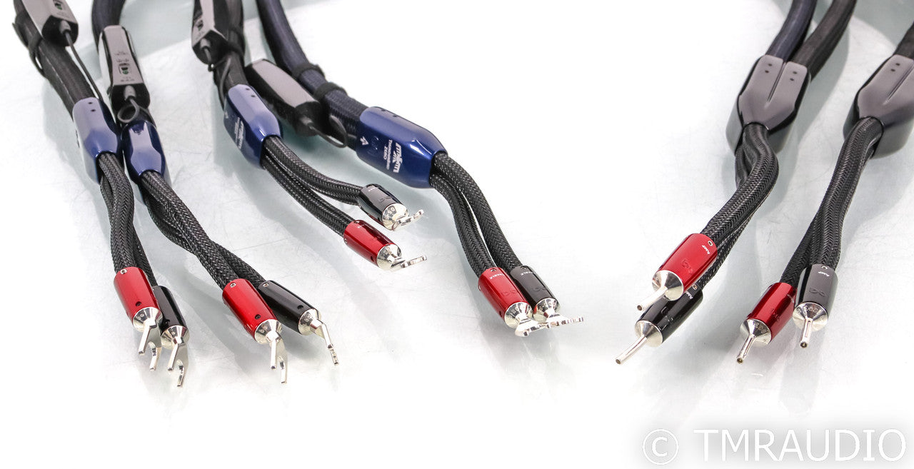 AudioQuest ThunderBird Bi-Wire Combo Speaker Cables; 6ft Pair; 72v DBS