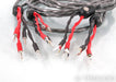 Wireworld Equinox 8 Bi-Wire Speaker Cables; 3.5m Pair