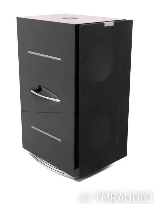 REL 212/SX Dual 12" Powered Subwoofer; 212SX; Piano Black