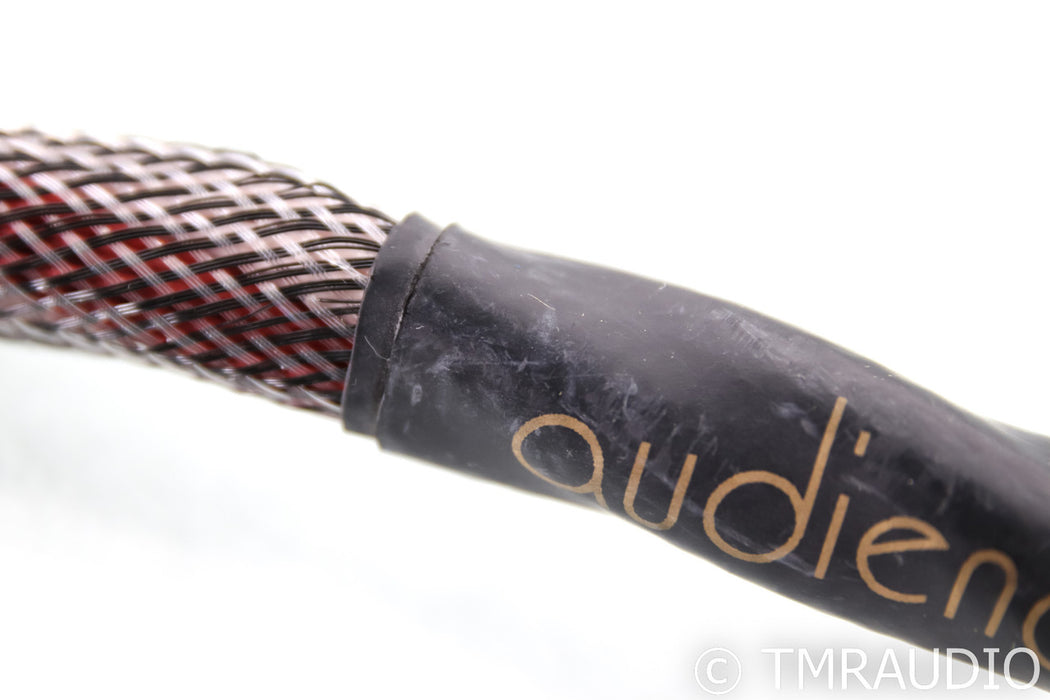 Audience AU24 SE Power Cable; 6ft AC Cord