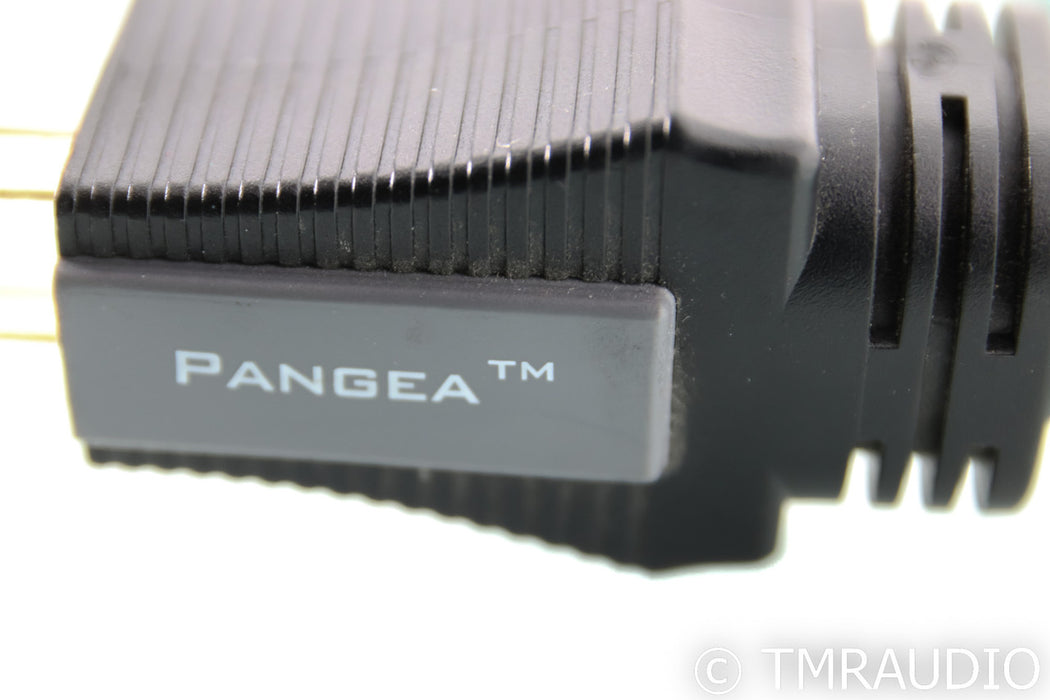 Pangea AC-9 Power Cable; 5ft AC Cord; AC9