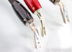 AudioQuest Oak Bi-Wire Speaker Cables; 6ft Pair