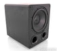 SVS PB-1000 Pro 12" Powered Subwoofer; Black Ash; PB1000