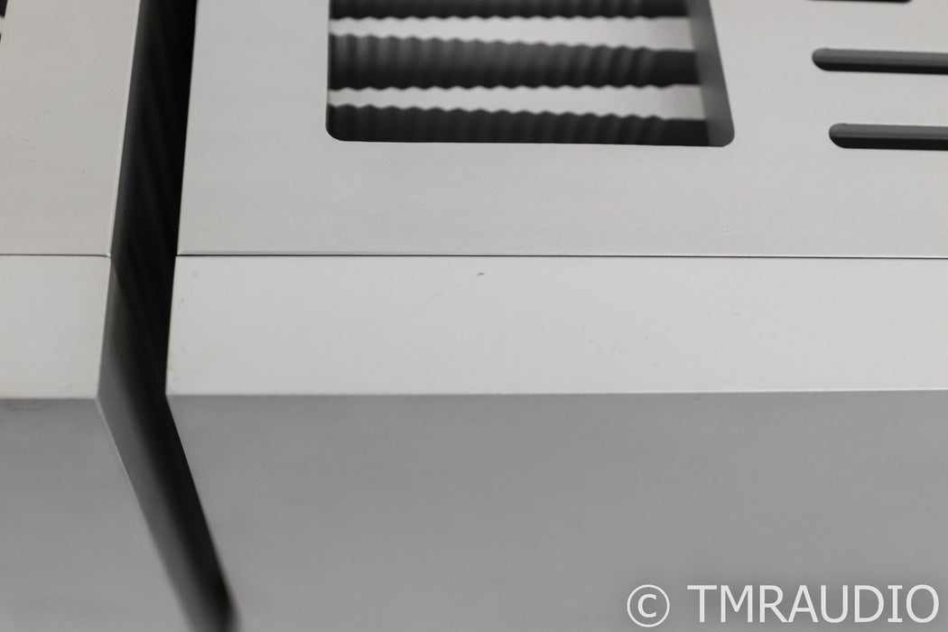 Ypsilon Aelius Mono Power Amplifier; Silver Pair
