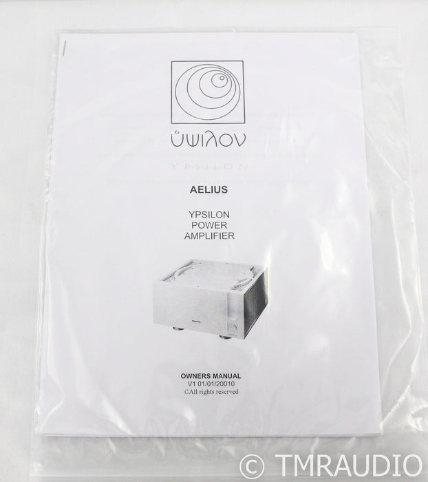 Ypsilon Aelius Mono Power Amplifier; Silver Pair