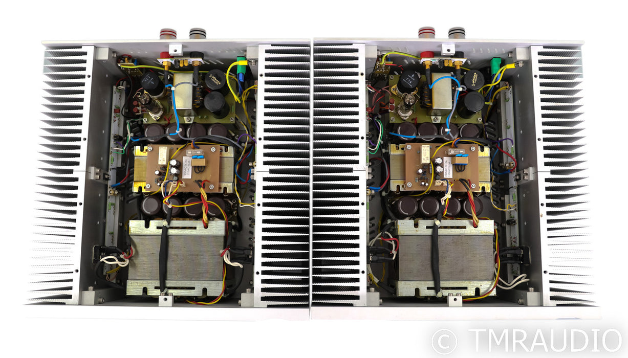Ypsilon Aelius Mono Power Amplifier; Silver Pair