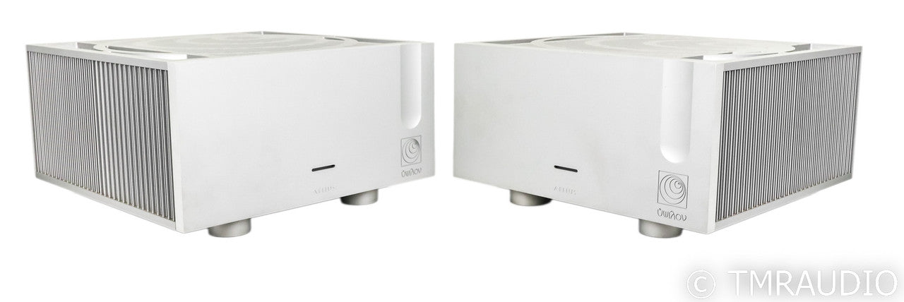 Ypsilon Aelius Mono Power Amplifier; Silver Pair