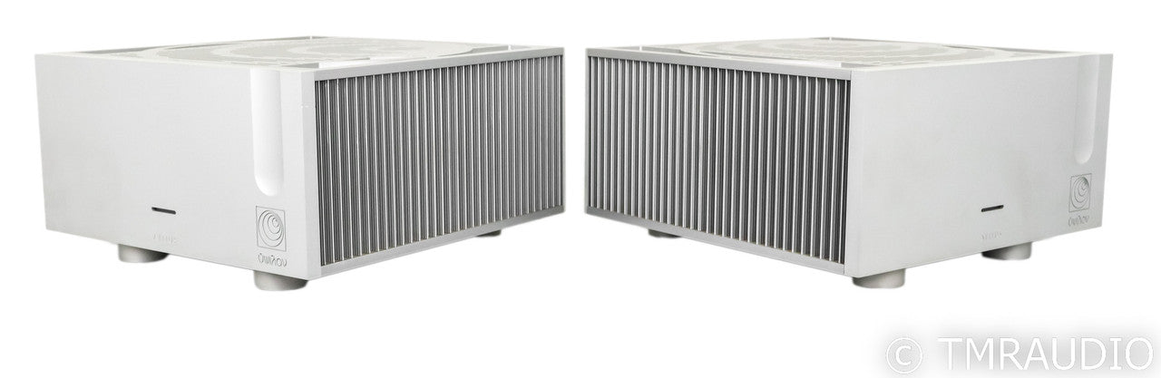 Ypsilon Aelius Mono Power Amplifier; Silver Pair