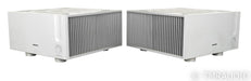 Ypsilon Aelius Mono Power Amplifier; Silver Pair