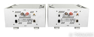 Ypsilon Aelius Mono Power Amplifier; Silver Pair