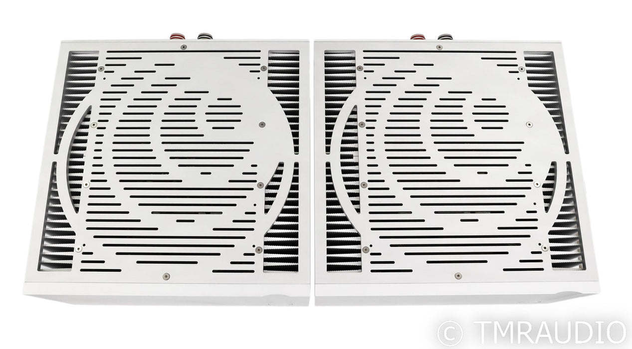 Ypsilon Aelius Mono Power Amplifier; Silver Pair