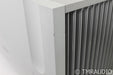 Ypsilon Aelius Mono Power Amplifier; Silver Pair