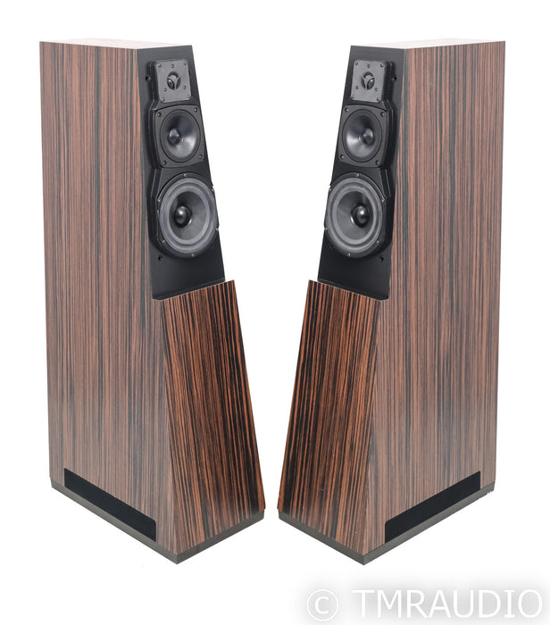 Vandersteen Quatro CT Powered Floorstanding Speakers; Faux Ebony Pair; M5-HPB