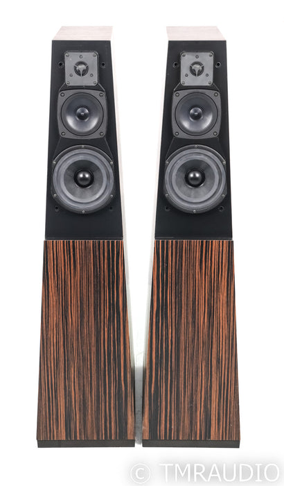 Vandersteen Quatro CT Powered Floorstanding Speakers; Faux Ebony Pair; M5-HPB