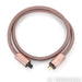 CorePower Valiant Gold Power Cable; 6ft AC Cord