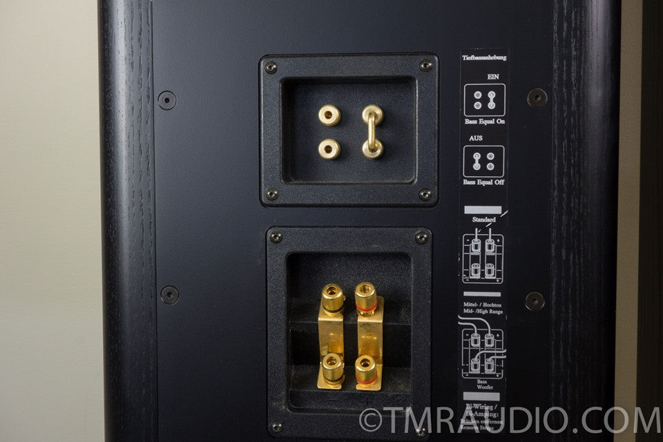 T+A CRITERION TB 160 German Audiophile Floorstanding Speakers