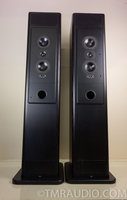 T+A CRITERION TB 160 German Audiophile Floorstanding Speakers
