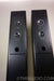 T+A CRITERION TB 160 German Audiophile Floorstanding Speakers