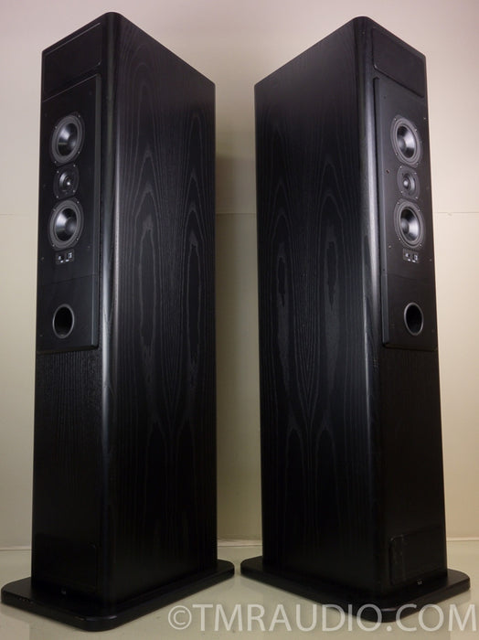 T+A CRITERION TB 160 German Audiophile Floorstanding Speakers