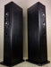 T+A CRITERION TB 160 German Audiophile Floorstanding Speakers