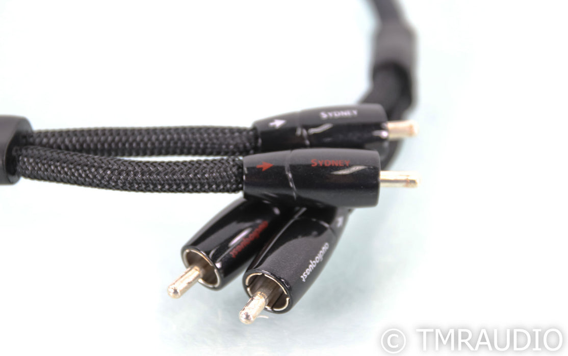 AudioQuest Sydney Stereo RCA Cable; 0.6m Interconnect
