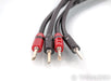 AudioQuest Rocket 33 Speaker Cables; 3ft Pair