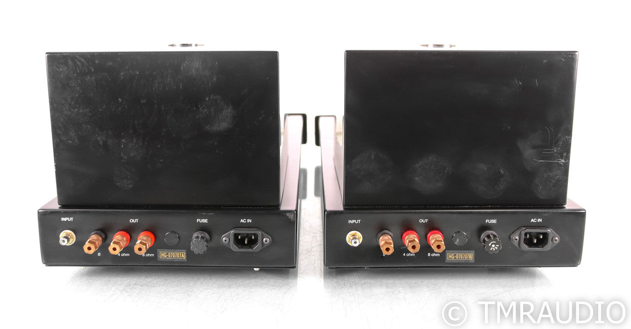 Joule Electra Heaven's Gate Mono Tube Power Amplifier; Black Pair
