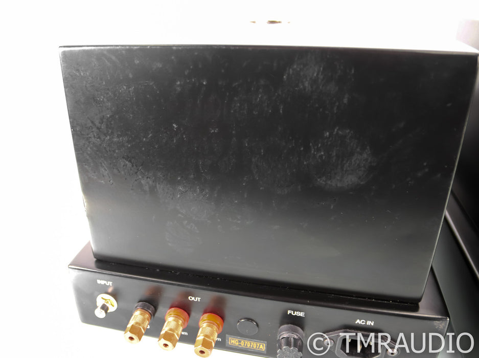 Joule Electra Heaven's Gate Mono Tube Power Amplifier; Black Pair