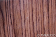 Dynaudio Focus 20 XD Powered Bookshelf Speakers; Walnut High Gloss Pair
