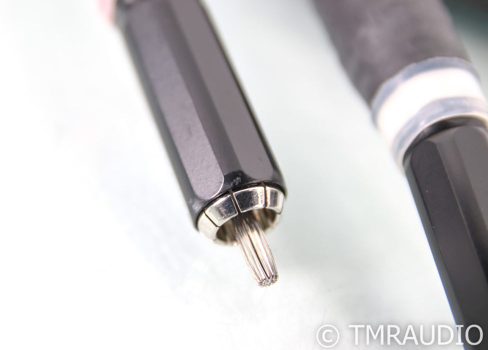 MasterBuilt Audio Signature RCA Cables; 4m Pair Interconnects