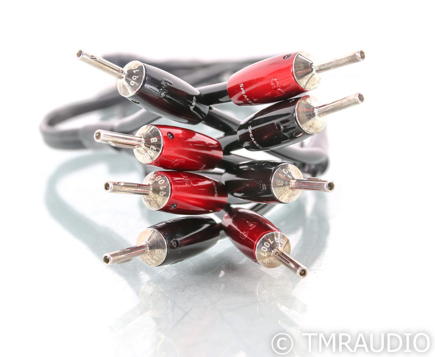 AudioQuest Rocket 44 Speaker Cables; 11ft Pair