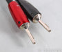 AudioQuest Rocket 44 Speaker Cables; 11ft Pair