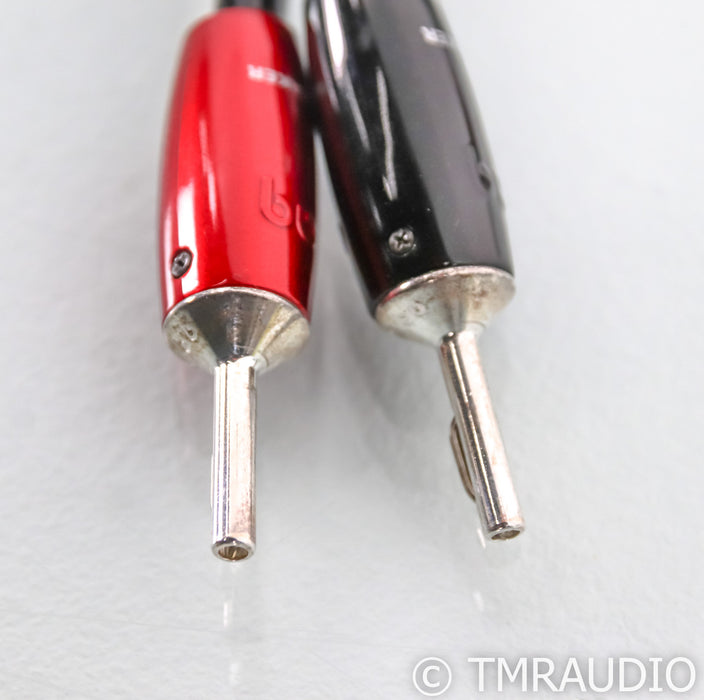 AudioQuest Rocket 44 Speaker Cables; 11ft Pair