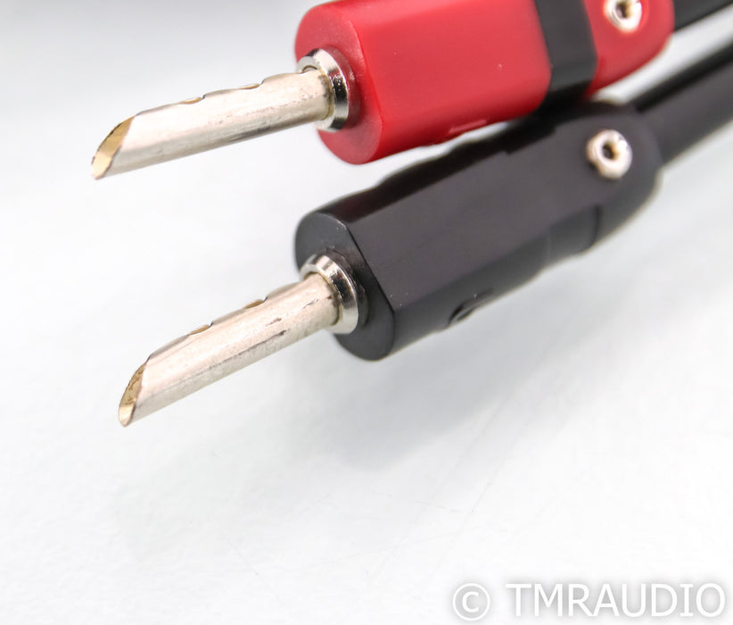 AudioQuest Rocket 44 Speaker Cables; 8ft Pair