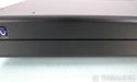 PS Audio Stellar M700 Mono Power Amplifier; Black Pair; M-700 (Used)